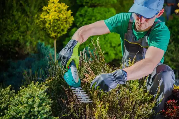 landscaping services Buchtel